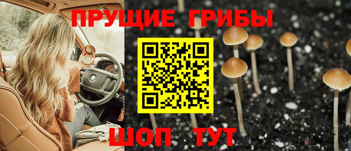 Галлюциногенные грибы GOLDEN TEACHER Холмск