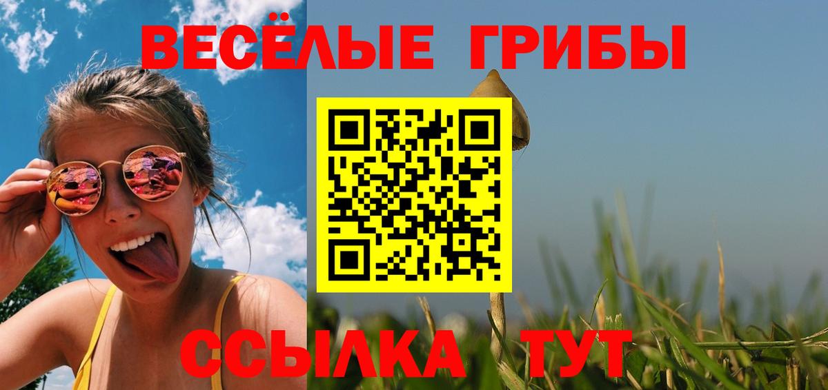 Псилоцибиновые грибы MAGIC MUSHROOMS  Галлюциногенные грибы Cubensis  Вход с VPN  Холмск 